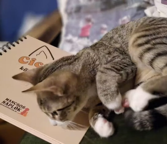 Cicanapló a Mancsos Naplók sorozat részeként, rajta egy macska fekszik.