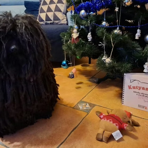 Kutyanapló a Mancsos Naplók sorozat részeként karácsonyfa mellett, a közelében egy magyar puli ül.