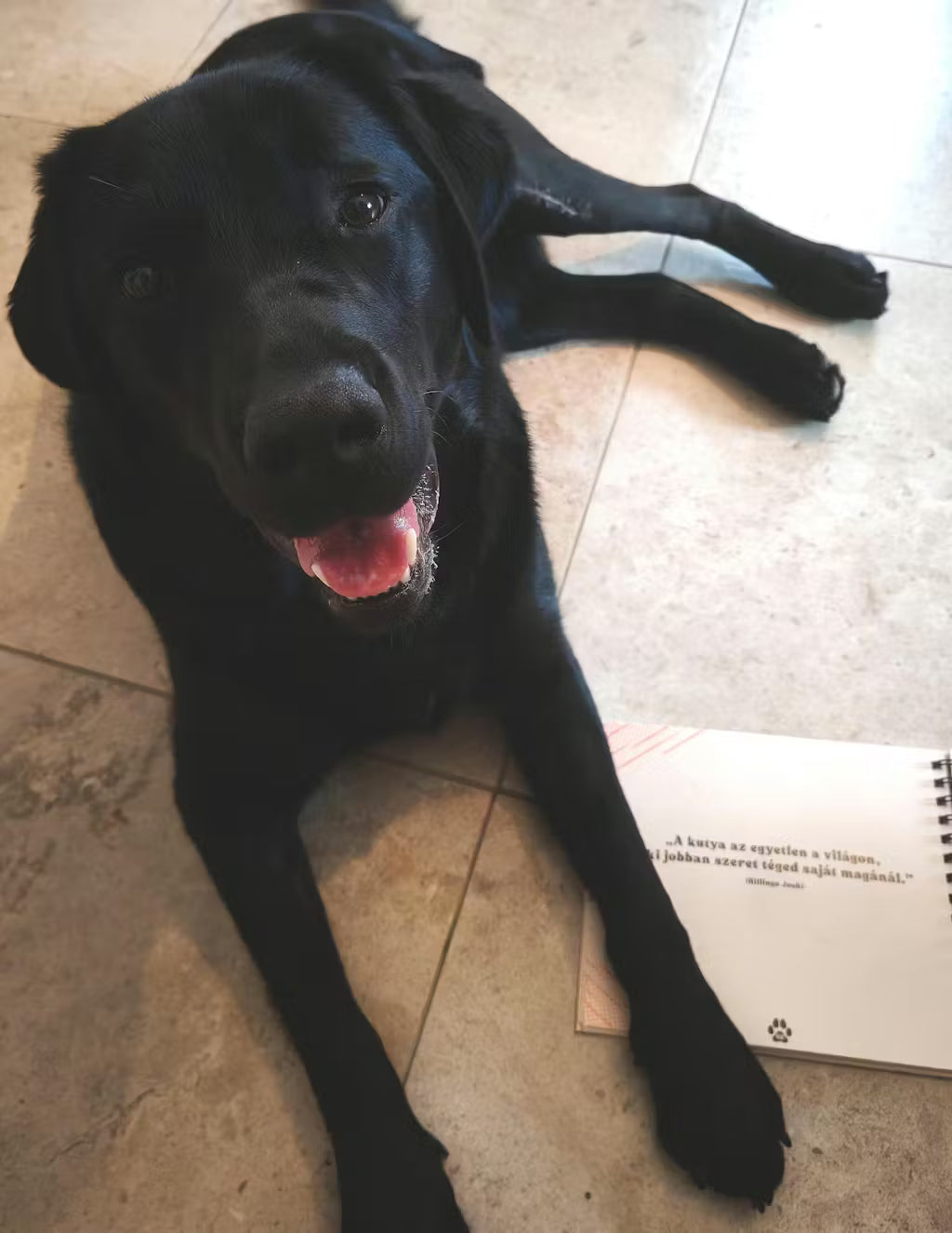 Kutyanapló a Mancsos Naplók sorozat részeként, kinyitva egy szép idézetnél, mellette egy kutya fekszik.