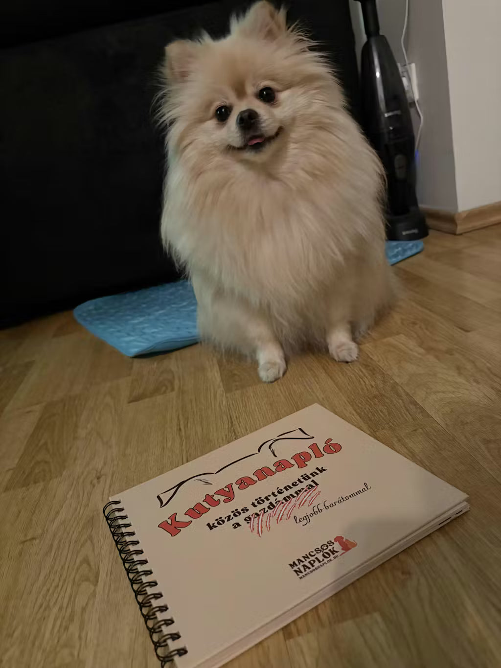 Kutyanapló a Mancsos Naplók sorozat részeként, mellette egy cuki kutya ül és néz a gazdijára.