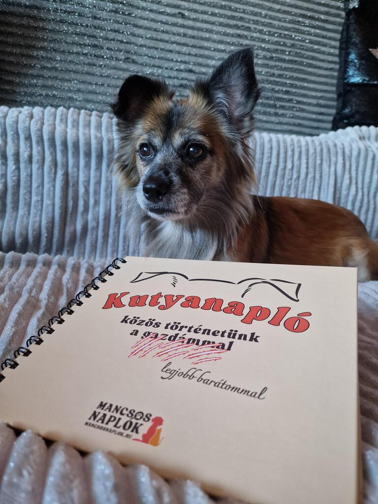 Kutyanapló a Mancsos Naplók sorozat részeként, mögötte egy kutya fekszik.