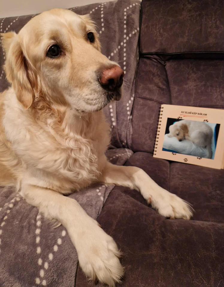 Kutyanapló a Mancsos Naplók sorozat részeként, amiben egy kiskori kép van beragasztva arról a kutyáról, aki mellette fekszik már felnőtt korában. 