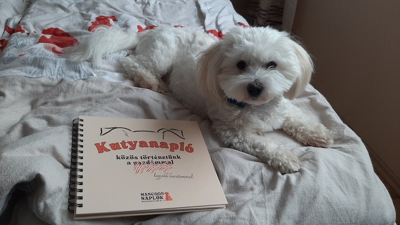 Kutyanapló az ágyon a Mancsos Naplók sorozat részeként, egy cuki fehér kutya pedig mellette fekszik.