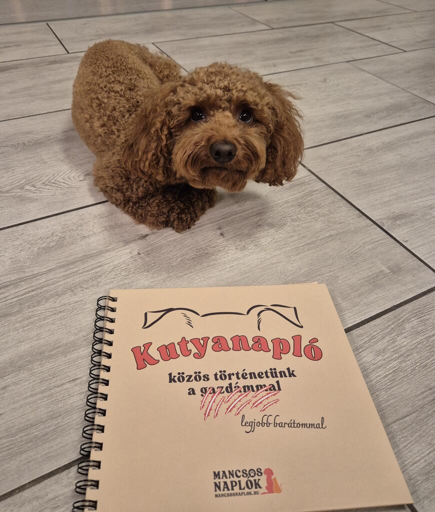 Kutyanapló a Mancsos Naplók sorozat részeként, mögötte egy kutya ül a földön.