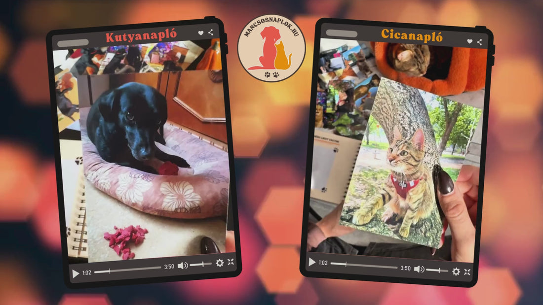 Videó arról, ahogy egy lány beragaszt fényképeket egy cicáról a Cicanaplóba és egy kutyáról a Kutyanaplóba.